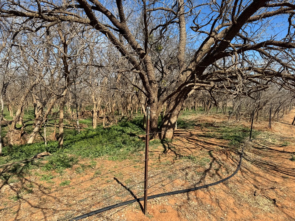 6482 County Rd 3105, Snyder, Texas image 18