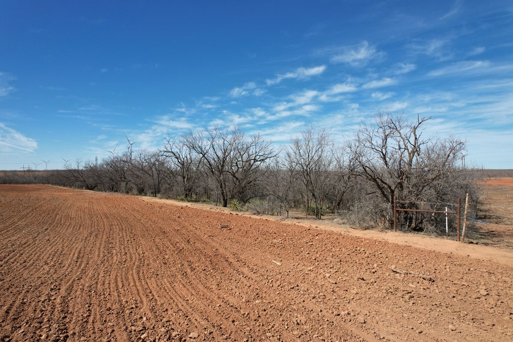 6482 County Rd 3105, Snyder, Texas image 19