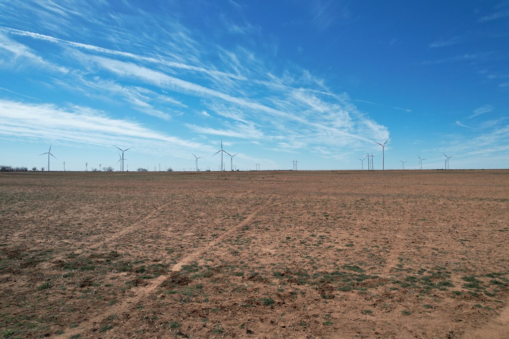 6482 County Rd 3105, Snyder, Texas image 29