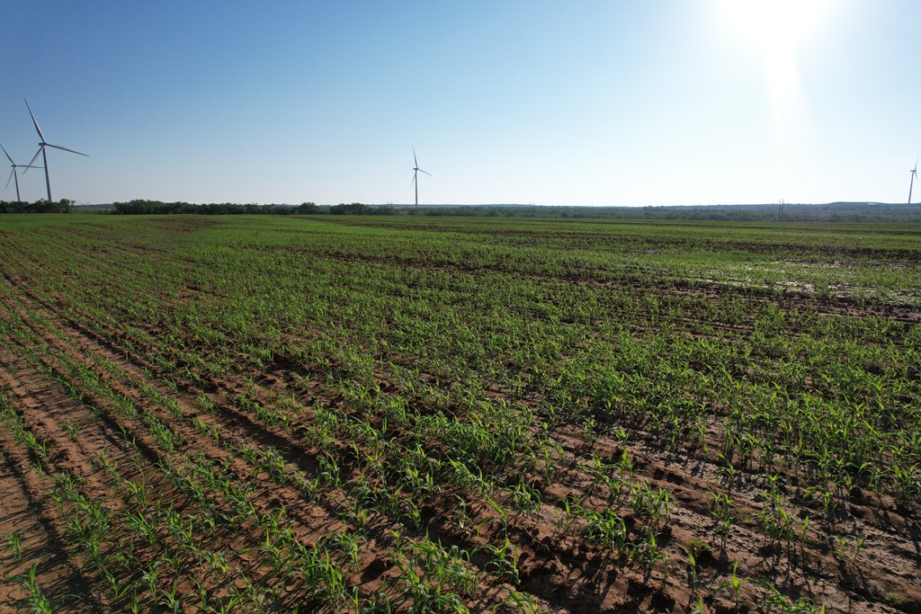 6482 County Rd 3105, Snyder, Texas image 12