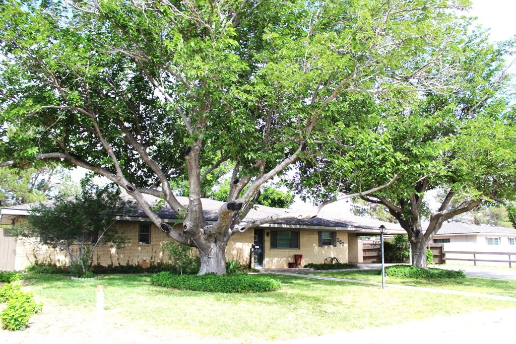 307 S Summit St, Fort Stockton, Texas image 6