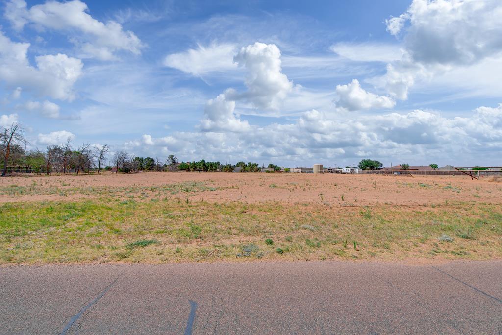 0000 Cactus, Midland, Texas image 2