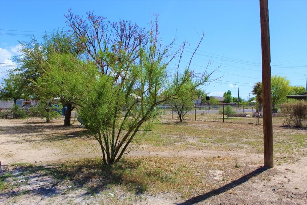 208 S Butz St #ID2951, Fort Stockton, Texas image 37