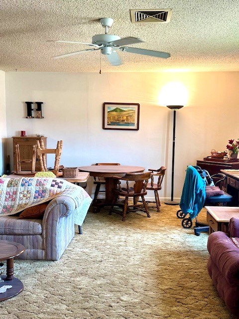312 E Kerr St, Sanderson, Texas image 2
