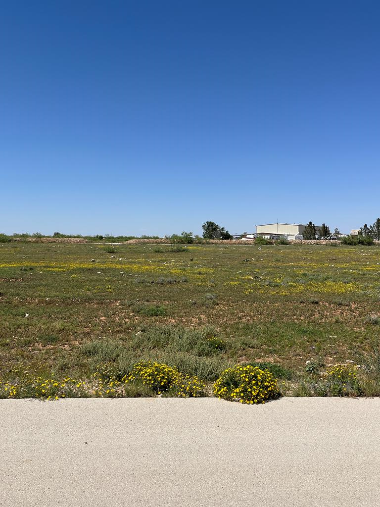 2333 Longhorn Dr, Midland, Texas image 1