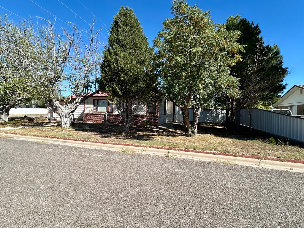 1508 N Valentine St, Fort Stockton, Texas image 22