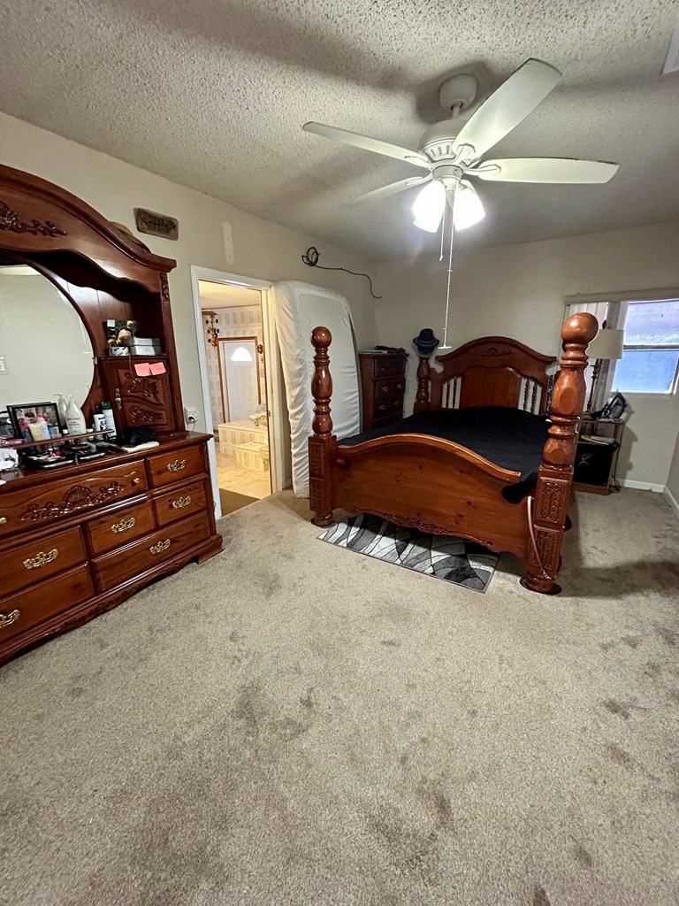 1508 N Valentine St, Fort Stockton, Texas image 7