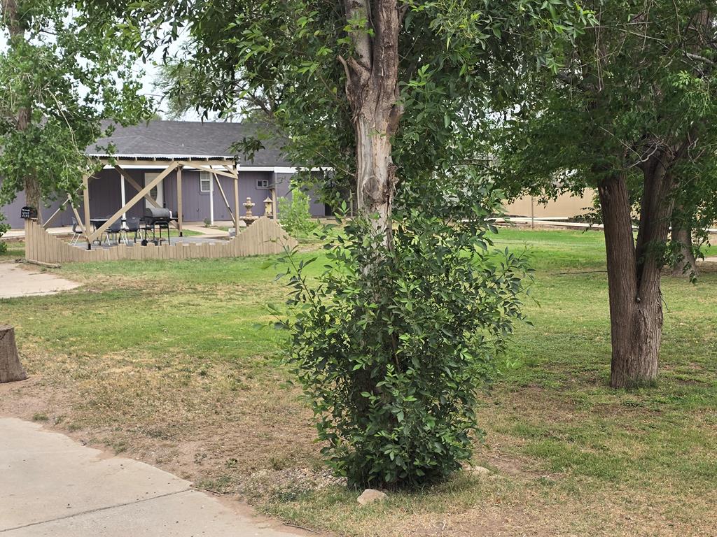 3700 W County Rd 116, Midland, Texas image 7