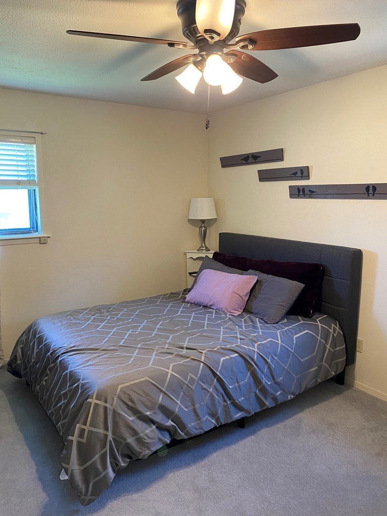 4500 Fredonia, Snyder, Texas image 14