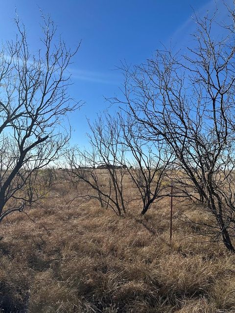 Vacant Land For Sale - 5536 Ponderosa Dr<br/> Scurry County, Snyder, TX 79549