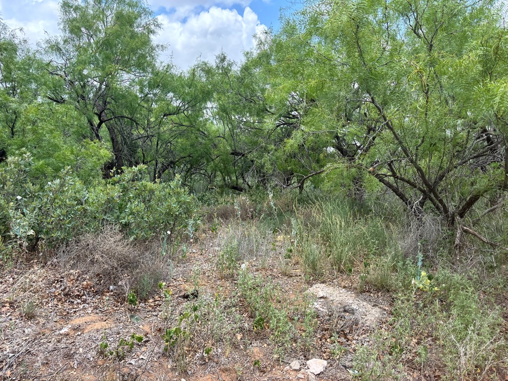Watson, Colorado City, Texas image 3