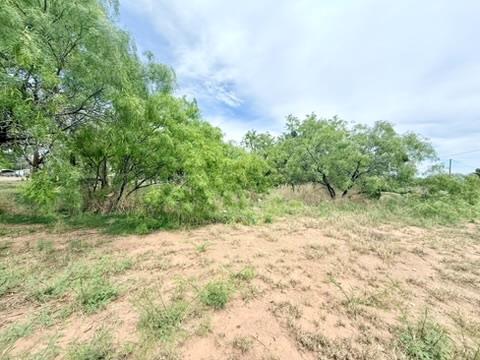 425 S Main St, Coahoma, Texas image 1