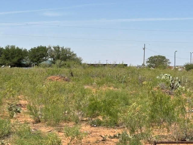 6301 E County Rd 57, Midland, Texas image 11