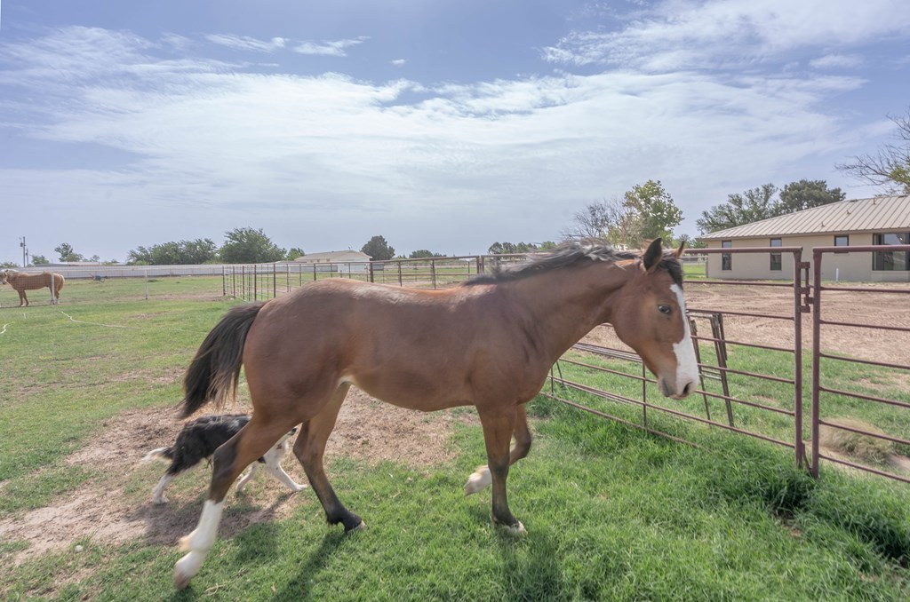 11800 W County Rd 52, Midland, Texas image 43