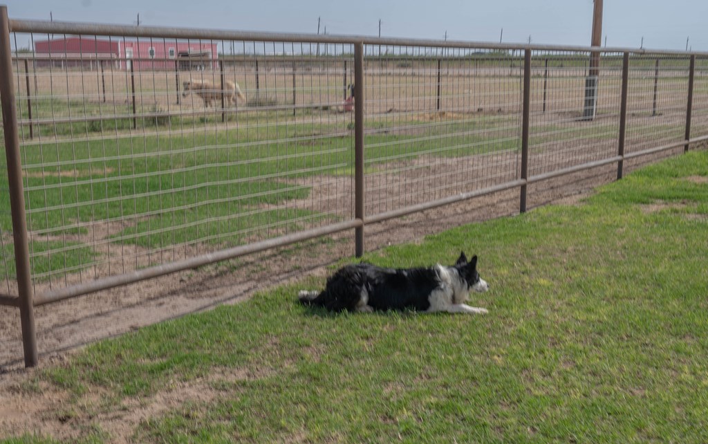 11800 W County Rd 52, Midland, Texas image 46