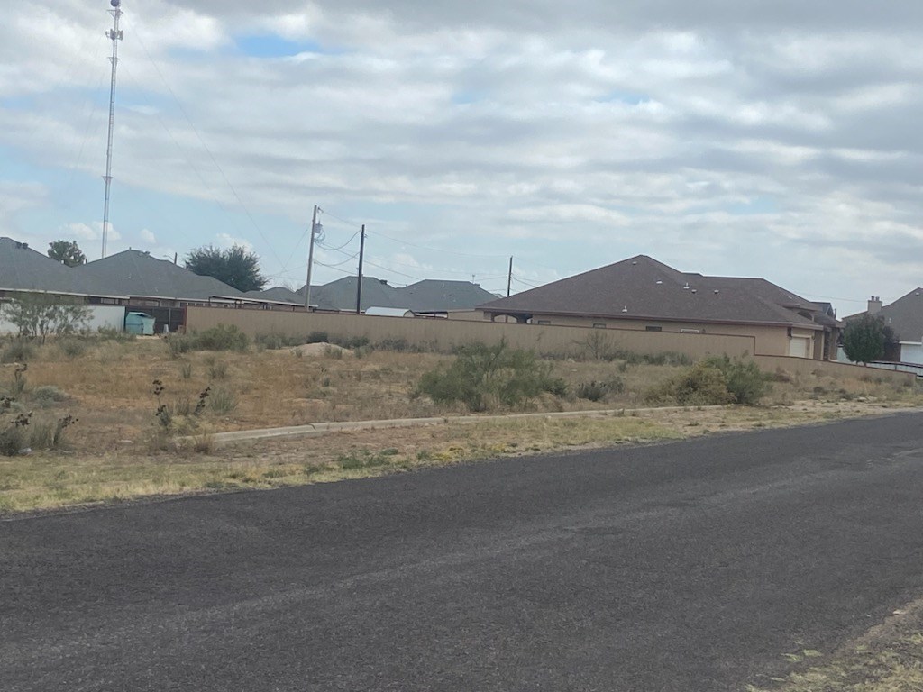 1404 N Eva Ave, Monahans, Texas image 2