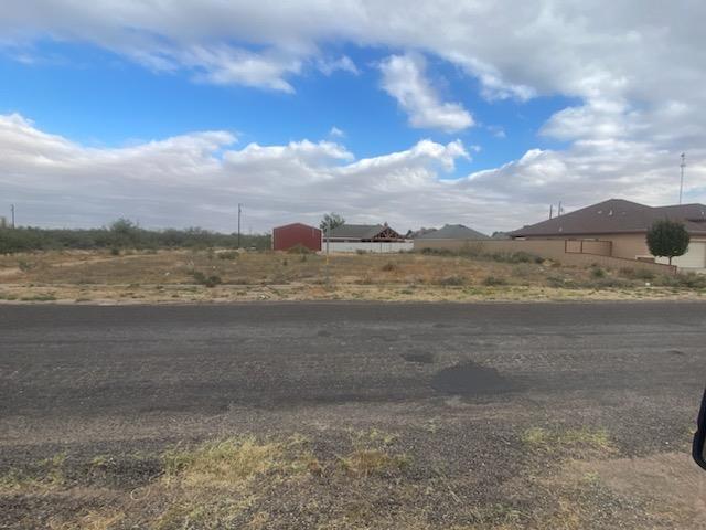 1404 N Eva Ave, Monahans, Texas image 1