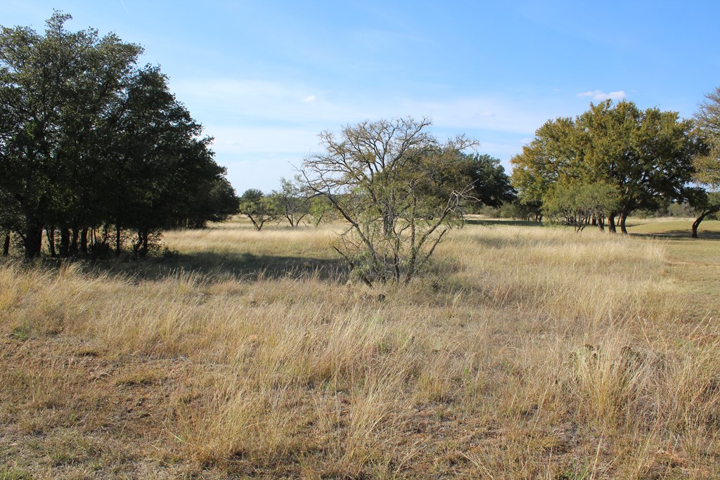 TBD Safe Harbor Dr, Brownwood, Texas image 10