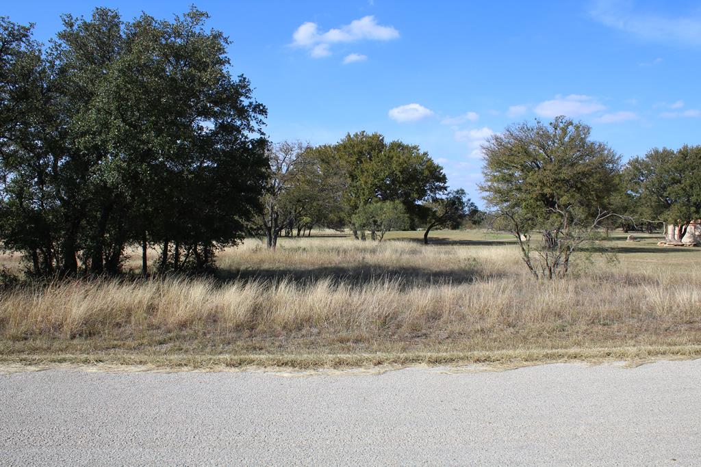 TBD Safe Harbor Dr, Brownwood, Texas image 1