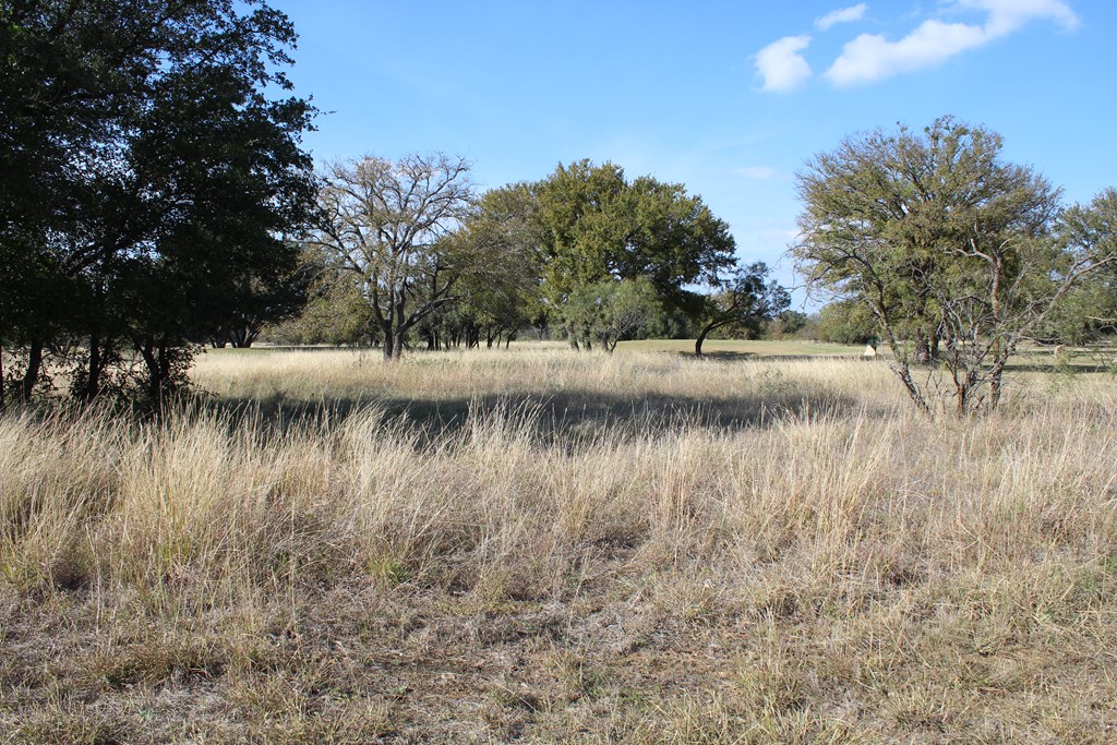 TBD Safe Harbor Dr, Brownwood, Texas image 12