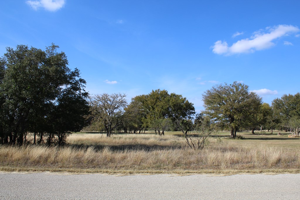 TBD Safe Harbor Dr, Brownwood, Texas image 6