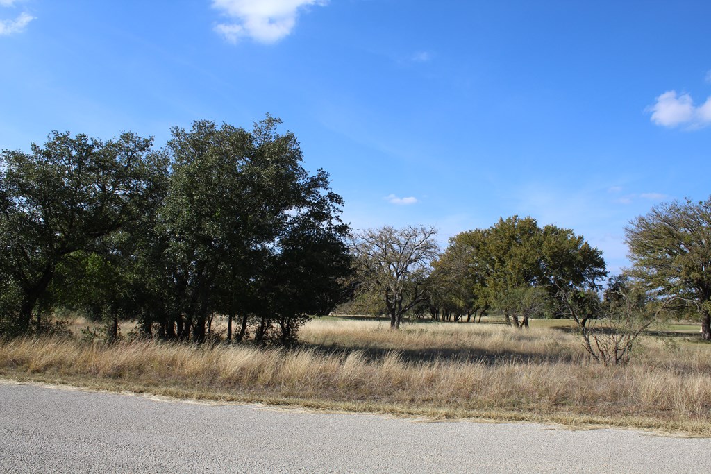 TBD Safe Harbor Dr, Brownwood, Texas image 8