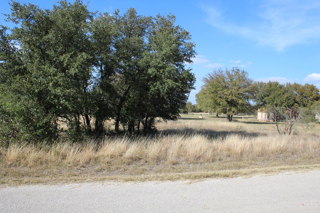 TBD Safe Harbor Dr, Brownwood, Texas image 2
