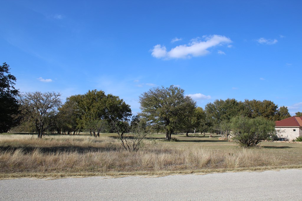 TBD Safe Harbor Dr, Brownwood, Texas image 7