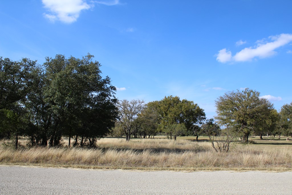 TBD Safe Harbor Dr, Brownwood, Texas image 9