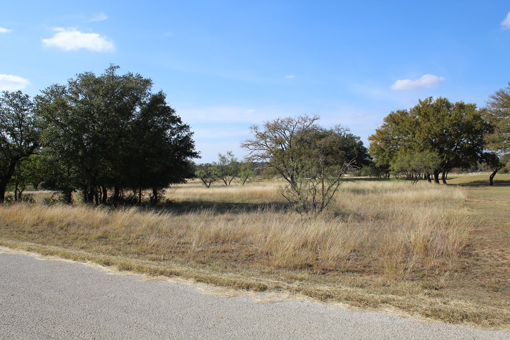 TBD Safe Harbor Dr, Brownwood, Texas image 3
