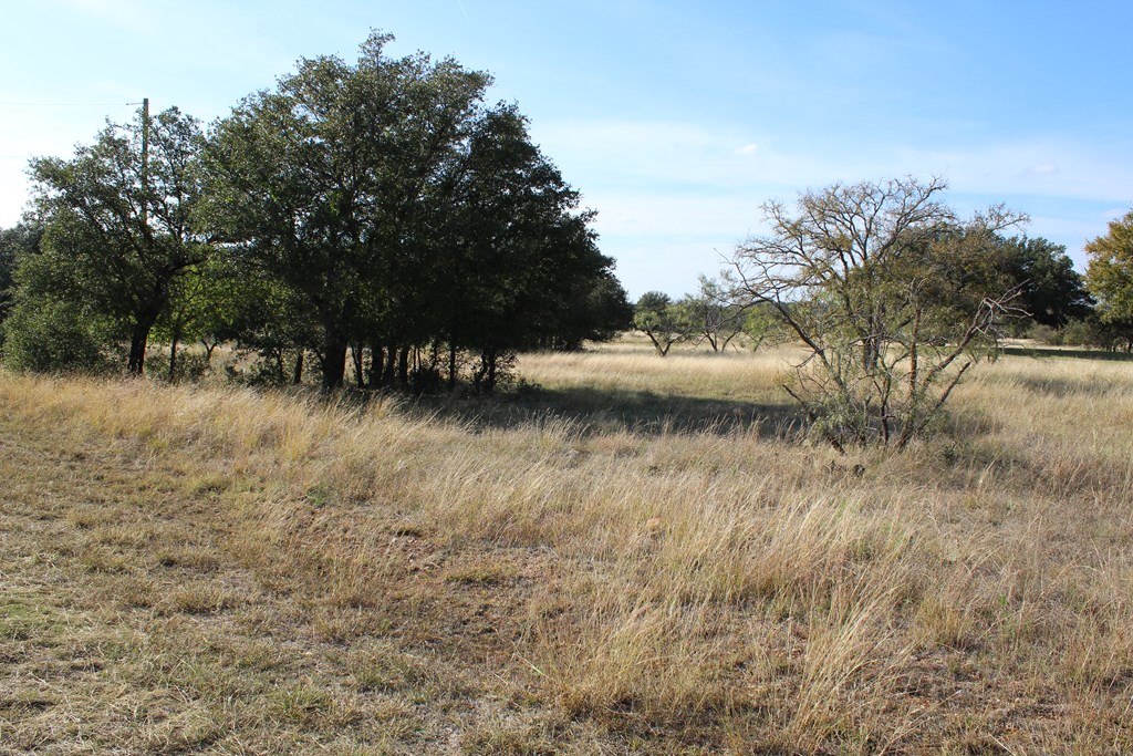 TBD Safe Harbor Dr, Brownwood, Texas image 11