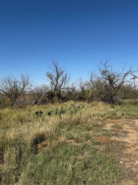 Vacant Land For Sale - 4699 Fm 2319<br/> Mitchell County, Loraine, TX 79512