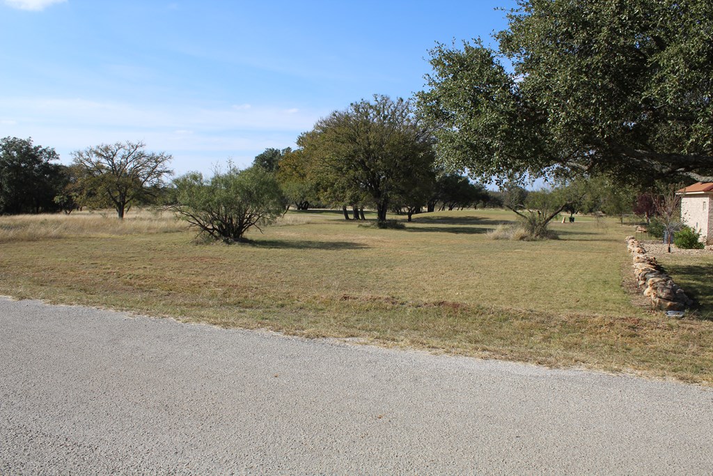 TBD Safe Harbor Dr, Brownwood, Texas image 3