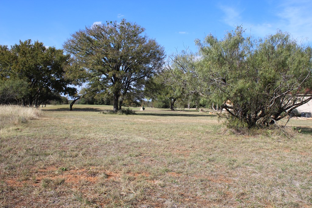 TBD Safe Harbor Dr, Brownwood, Texas image 5