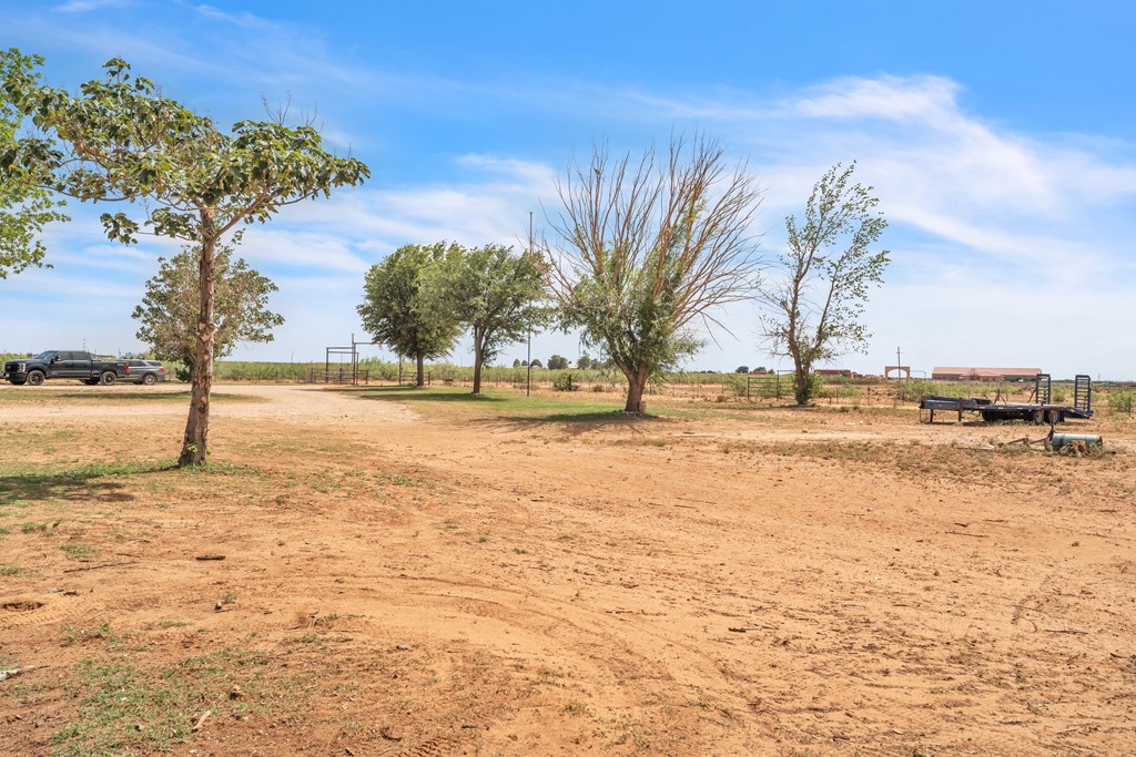 9811 S County Rd 1218, Midland, Texas image 28