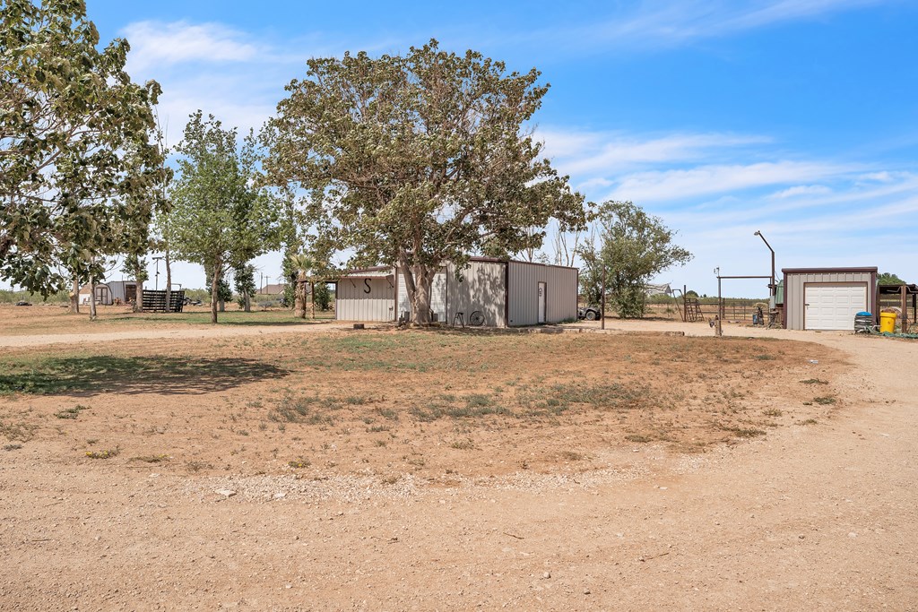 9811 S County Rd 1218, Midland, Texas image 8