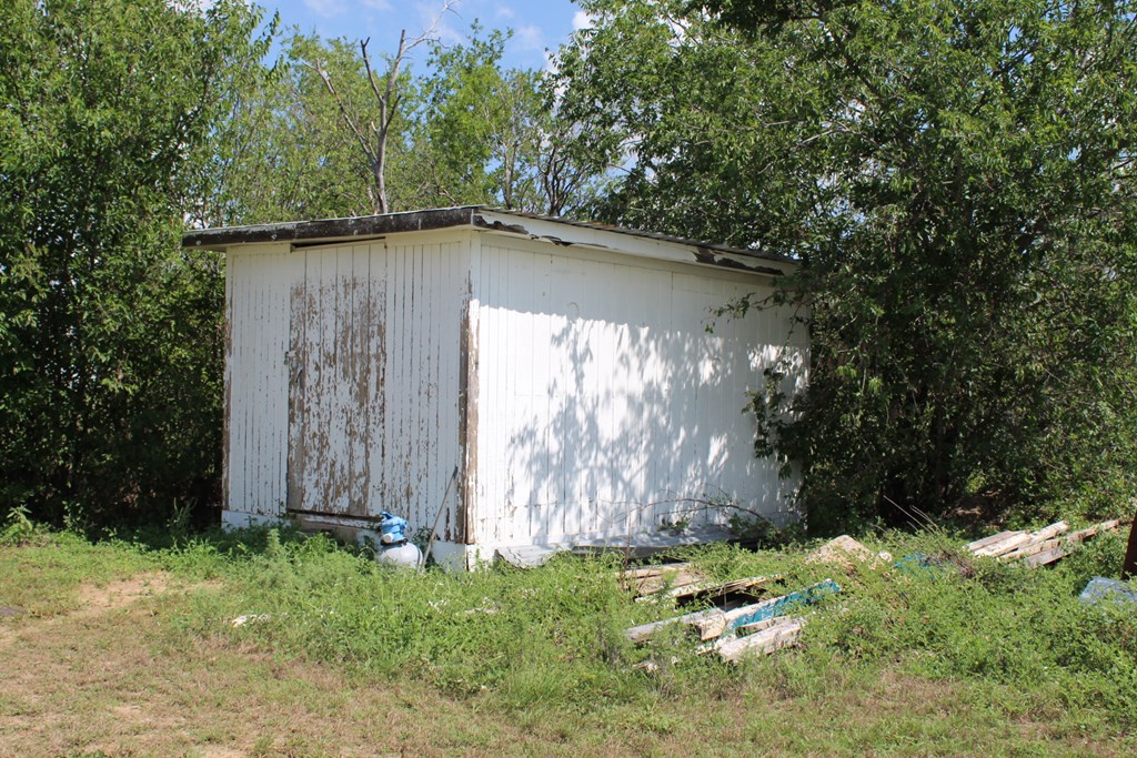 807 Brazos St, Coleman, Texas image 9