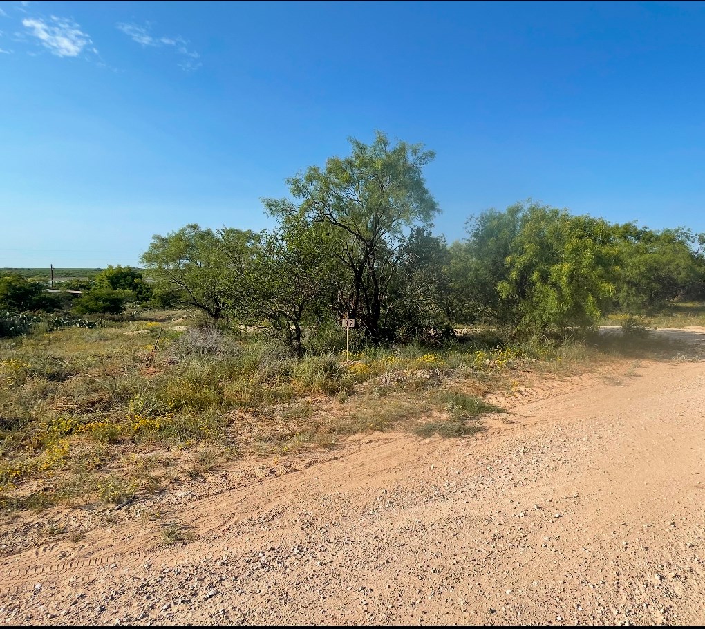 000 Lcr 175, Colorado City, Texas image 3