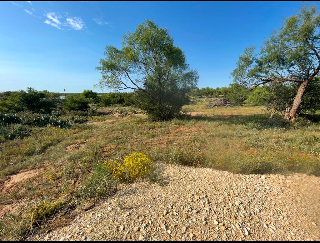 000 Lcr 175, Colorado City, Texas image 1