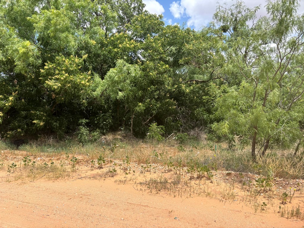 00 21st St, Colorado City, Texas image 3