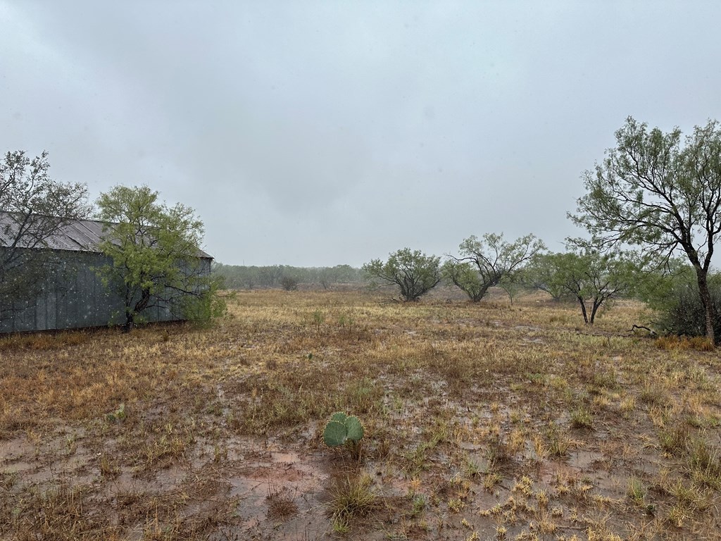 1848 Denson Rd, Hermleigh, Texas image 40