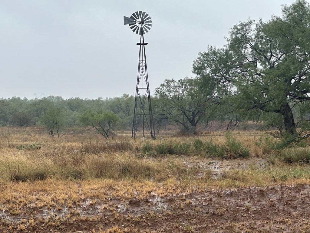 1848 Denson Rd, Hermleigh, Texas image 35