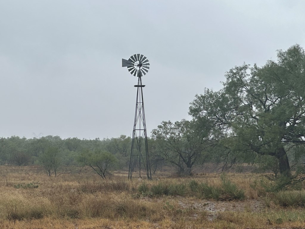 1848 Denson Rd, Hermleigh, Texas image 42