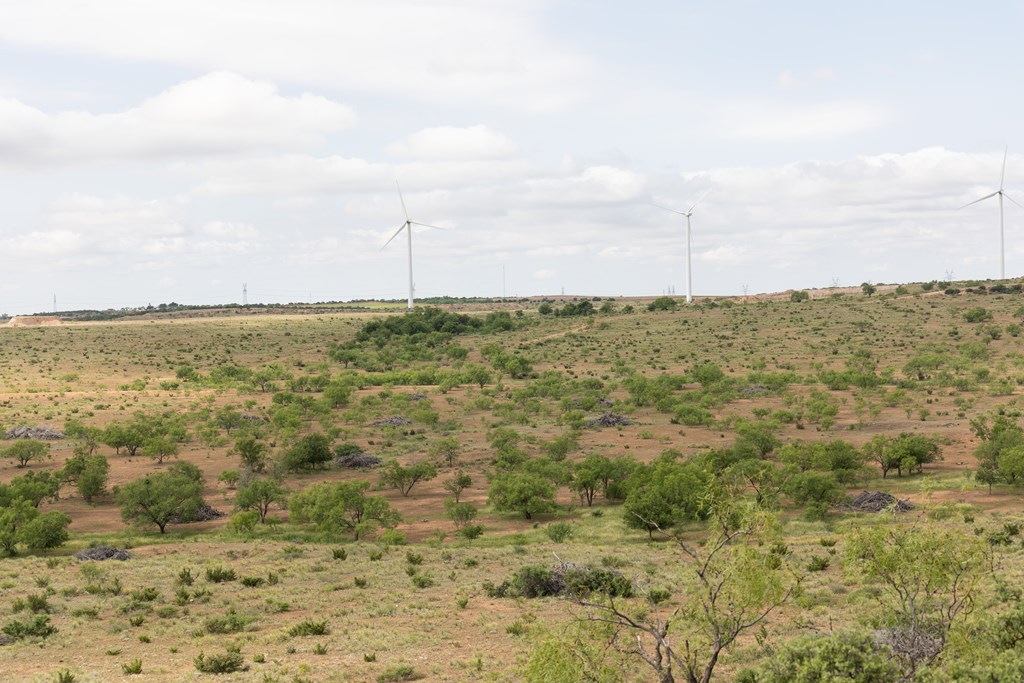 2564 Ennis Creek Rd, Snyder, Texas image 35