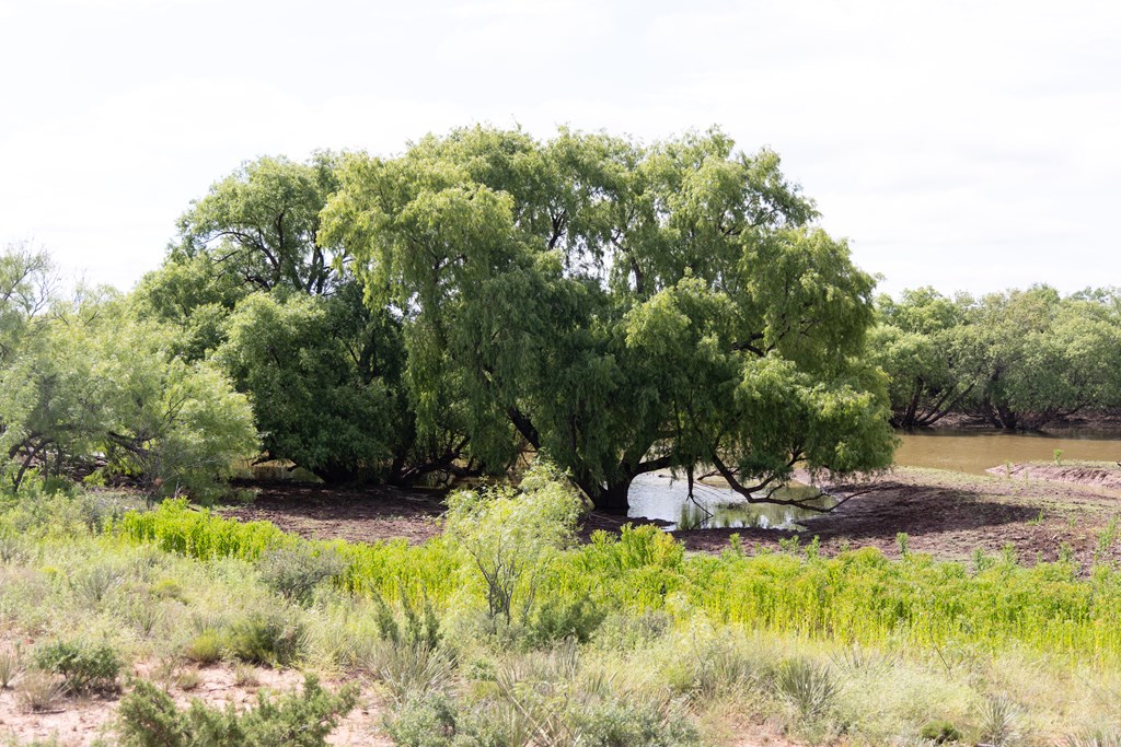 2564 Ennis Creek Rd, Snyder, Texas image 31