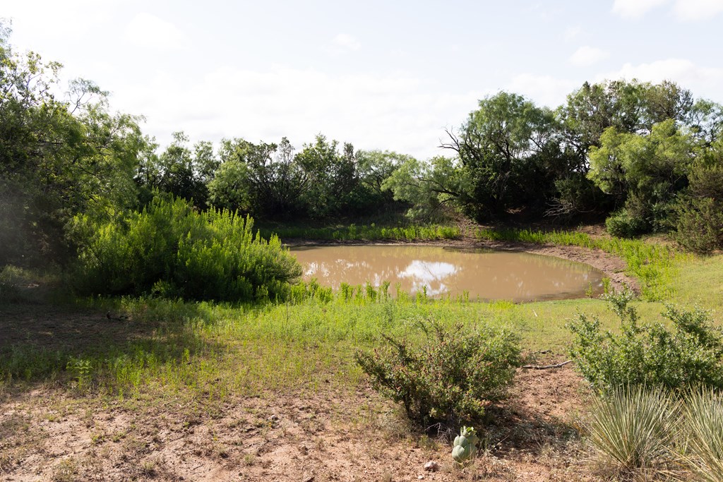 2564 Ennis Creek Rd, Snyder, Texas image 12
