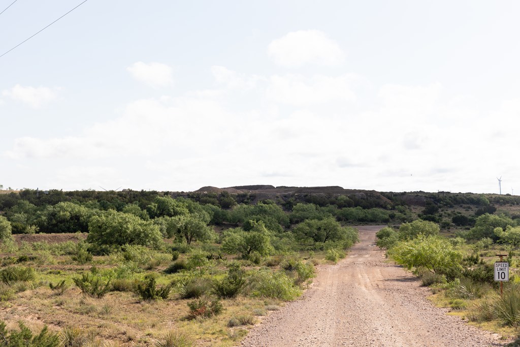 2564 Ennis Creek Rd, Snyder, Texas image 2
