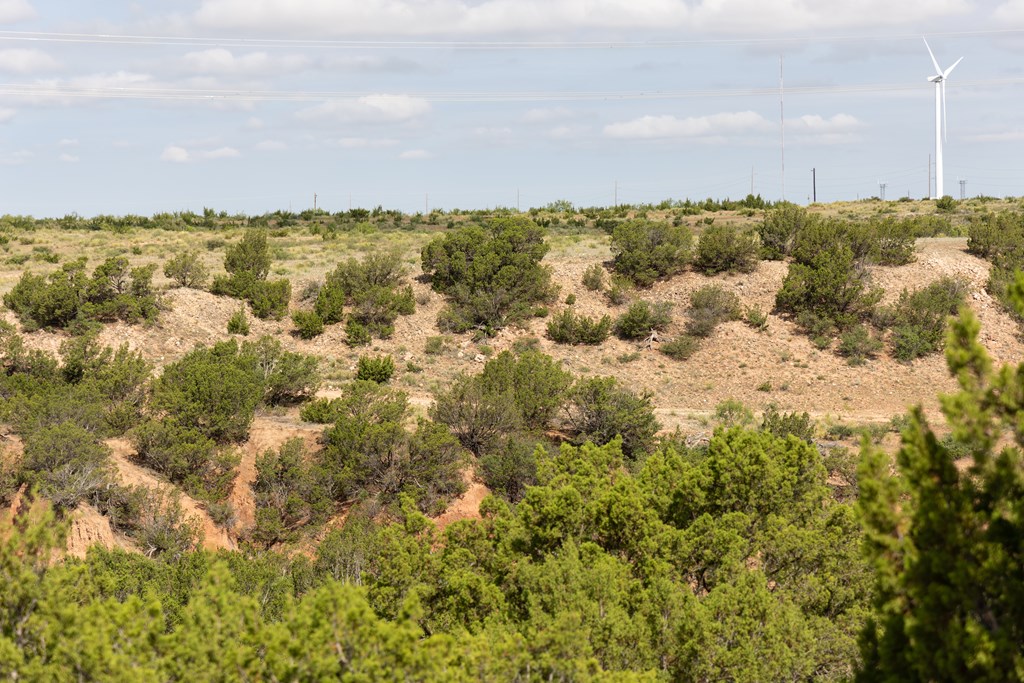 2564 Ennis Creek Rd, Snyder, Texas image 21