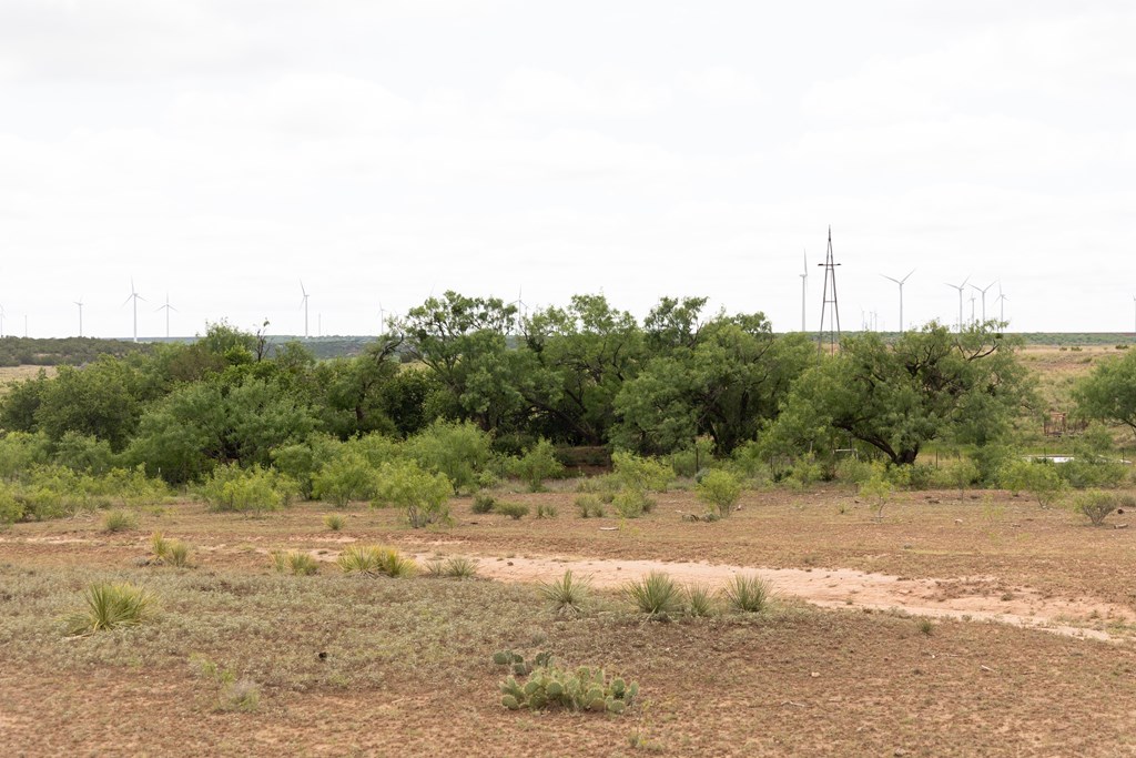 2564 Ennis Creek Rd, Snyder, Texas image 40