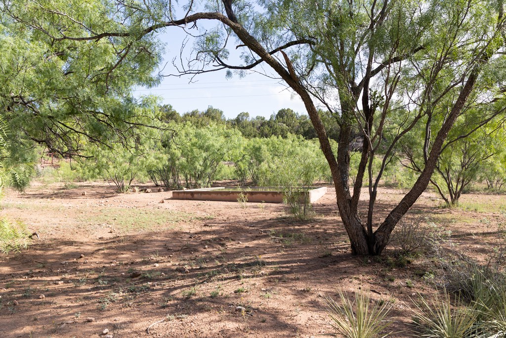 2564 Ennis Creek Rd, Snyder, Texas image 10